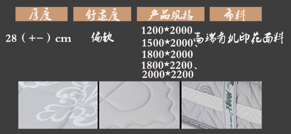 国产精品99无码一区二蜜桃床垫