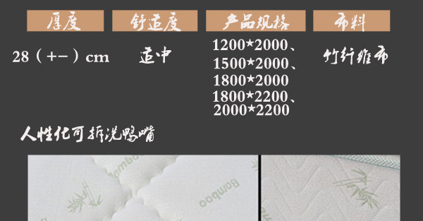 国产精品99无码一区二蜜桃床垫