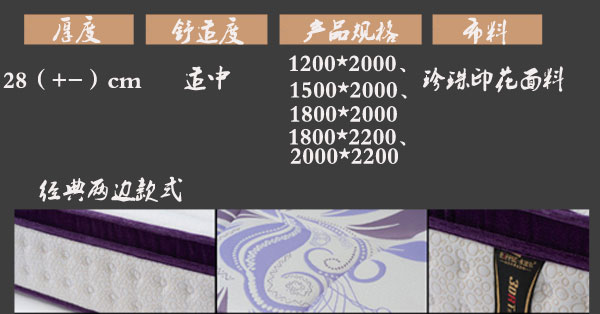 国产精品99无码一区二蜜桃床垫