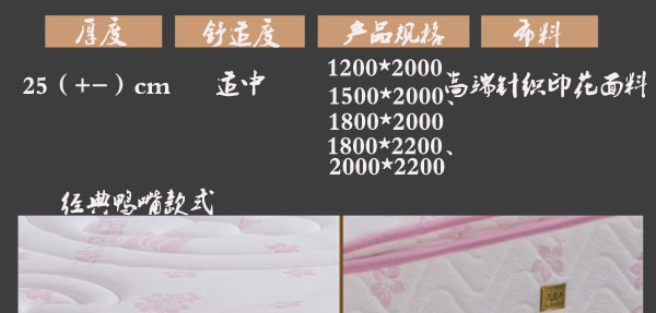 国产精品99无码一区二蜜桃保健床垫