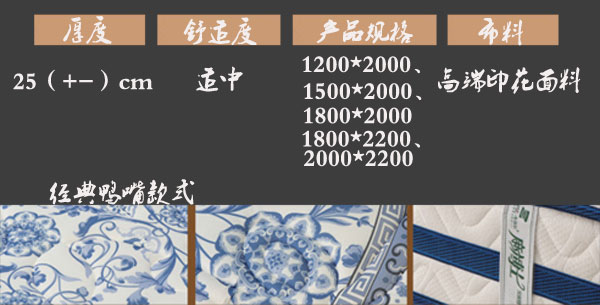 国产精品99无码一区二蜜桃高档床垫