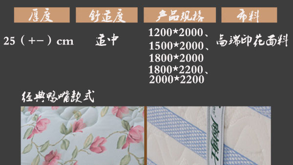 国产精品99无码一区二蜜桃高档床垫