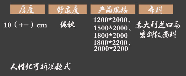 国产精品99无码一区二蜜桃床垫