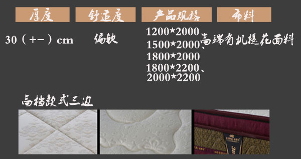 国产精品99无码一区二蜜桃床垫