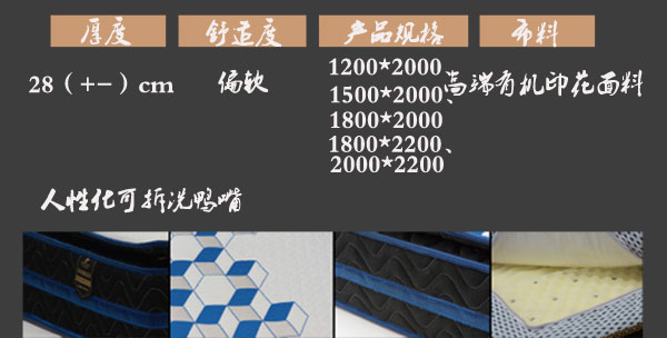 国产精品99无码一区二蜜桃床垫