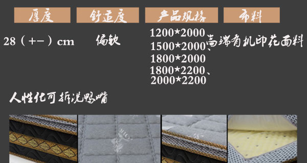 国产精品99无码一区二蜜桃床垫