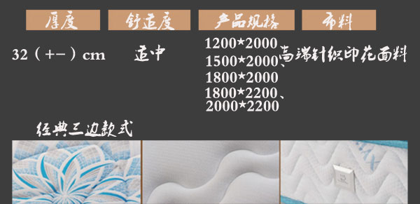 国产精品99无码一区二蜜桃床垫