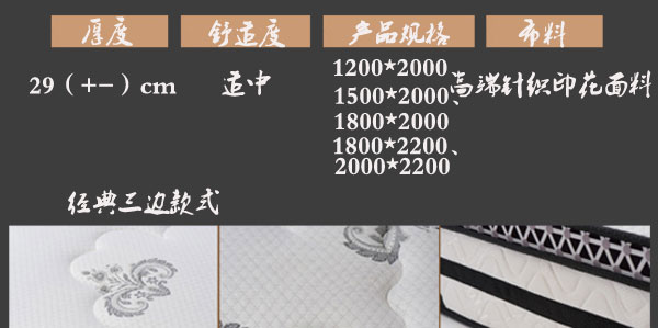 国产精品99无码一区二蜜桃高档床垫