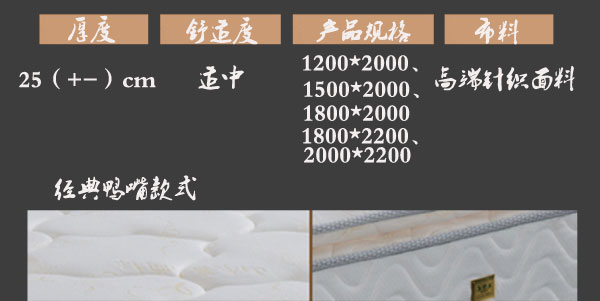 国产精品99无码一区二蜜桃保健床垫